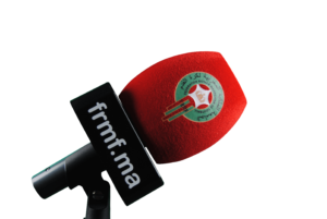 Windscreen for Microphones 3 sides