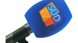 Bonnette Microphone Sud TV