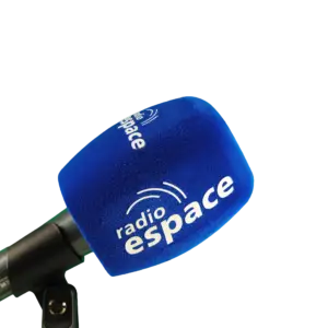 MOUSSE MICROPHONE RADIO AVEC BRANDING